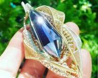 aqua-aura-vogel
